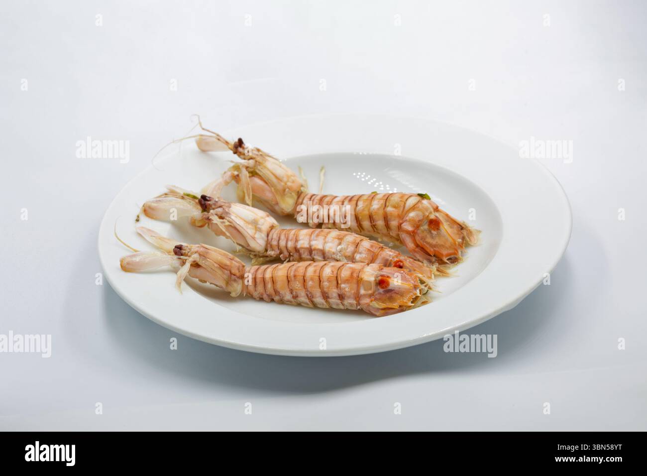 Gekochte Mantis Shrimps oder Squilla Mantis auf weißem Teller Nahaufnahme. Stockfoto