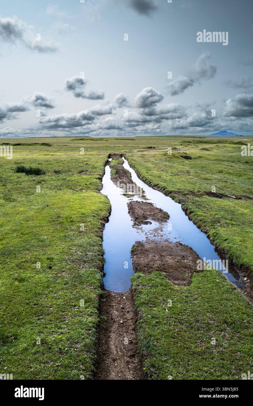 Eine mit tiefem Wasser gefüllte, rutschige Strecke auf dem windgepeitschten Bodmin Moor in Cornwall in Großbritannien; im Hintergrund ist Brown Willy Bronn Wennili. Stockfoto