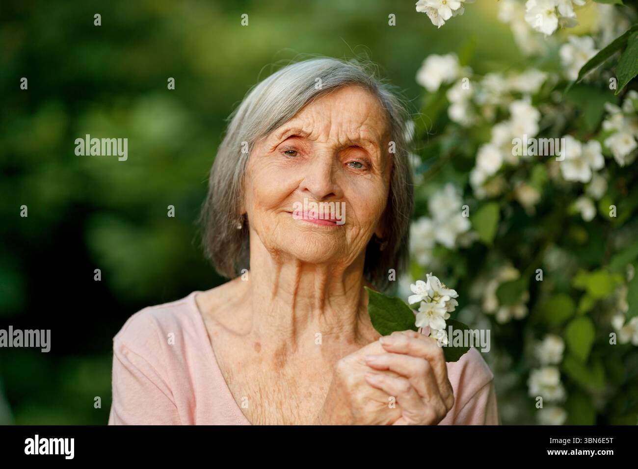 Nahaufnahme einer älteren Frau, die Jasmine mit verschwommenem Hintergrund hält Stockfoto