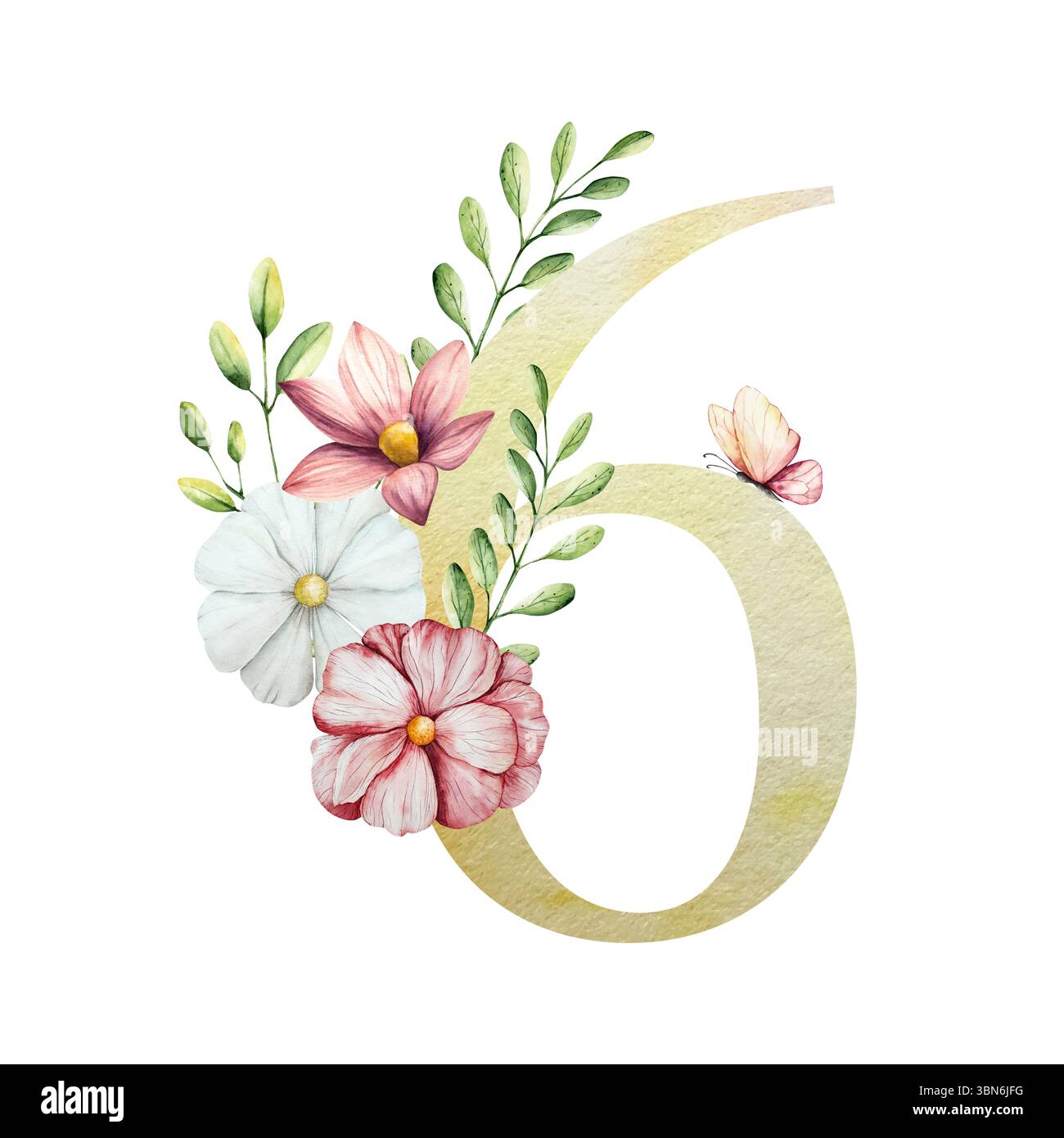 Elegante Nummer sechs mit Blumen und Blättern, Schmetterling. Aquarellgerbera, Kamille, Echinacea. Handgezeichnete Wildblumenkunst isoliert auf Hintergrund Stockfoto