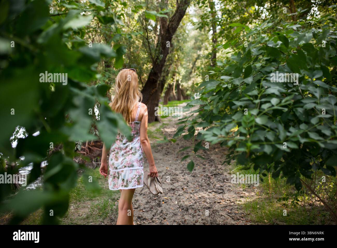 Eine einsame Frau geht einen üppigen Waldweg entlang, hält ihre Schuhe in einer Hand, umgeben von lebendigem Grün an einem friedlichen Sommertag. Stockfoto