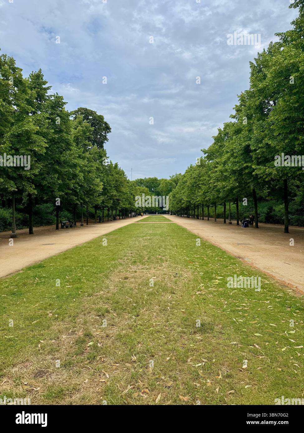Von Bäumen gesäumter Schotterweg, flankiert von grünen Rasenflächen in einem ruhigen Park in Brüssel, Belgien. - Smartphone-aufgenommenes Stockfoto