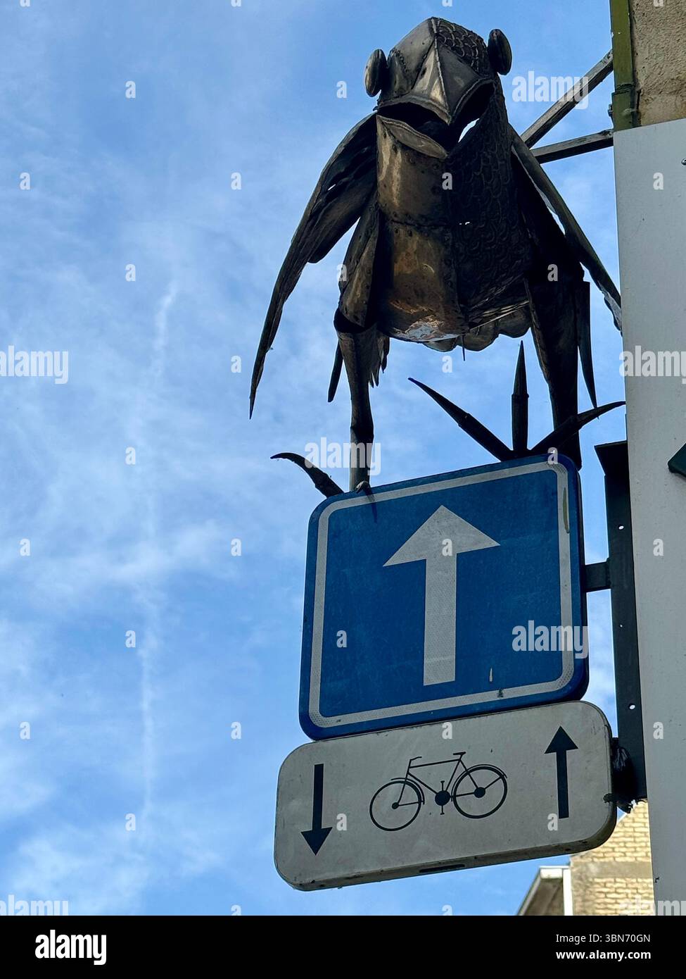 Bronze-Vogelskulptur über dem Fahrrad und Einbahnschilder vor einem blauen Himmel in Gent, Belgien. Stockfoto