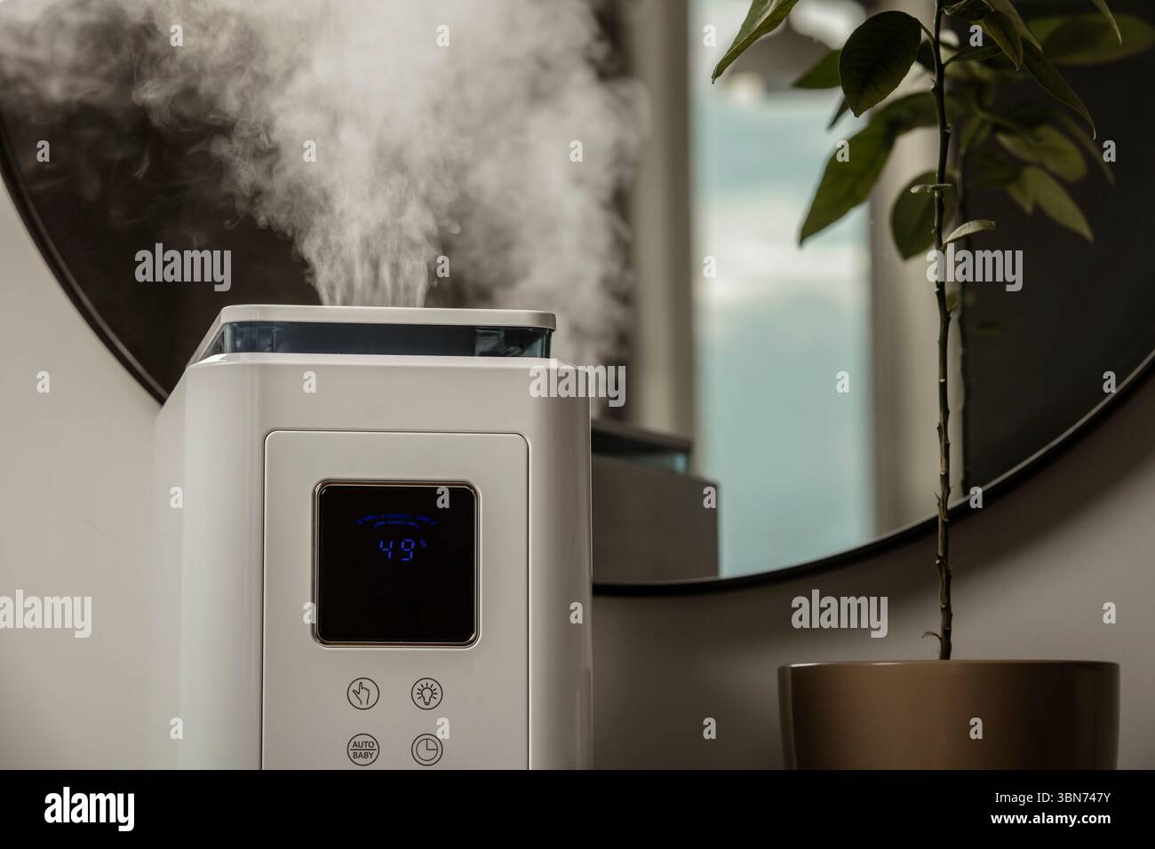 Aromaöl-Diffusor auf dem Tisch zu Hause, Dampf aus dem Luftbefeuchter, Zimmerpflanze auf Hintergrund. Ultraschalltechnologie, Erhöhung der Luftfeuchtigkeit. Stockfoto