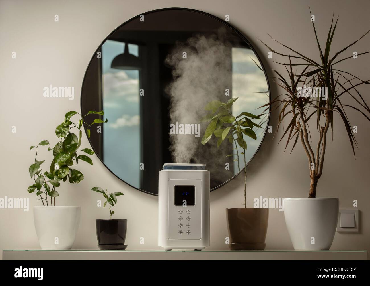 Aromaöl-Diffusor auf dem Tisch zu Hause, Dampf aus dem Luftbefeuchter, Zimmerpflanze auf Hintergrund. Ultraschalltechnologie, Erhöhung der Luftfeuchtigkeit. Stockfoto