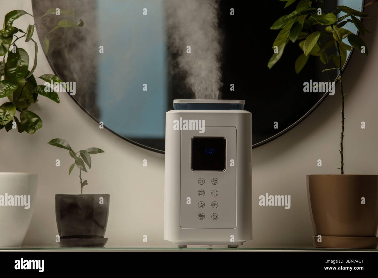 Aromaöl-Diffusor auf dem Tisch zu Hause, Dampf aus dem Luftbefeuchter, Zimmerpflanze auf Hintergrund. Ultraschalltechnologie, Erhöhung der Luftfeuchtigkeit. Stockfoto