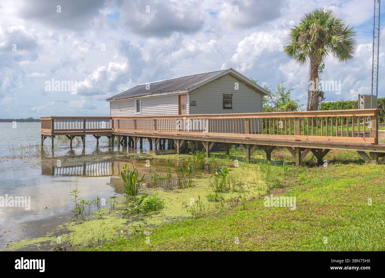 Vegetation und Architektur in der Nähe eines Florida Sees. Stockfoto