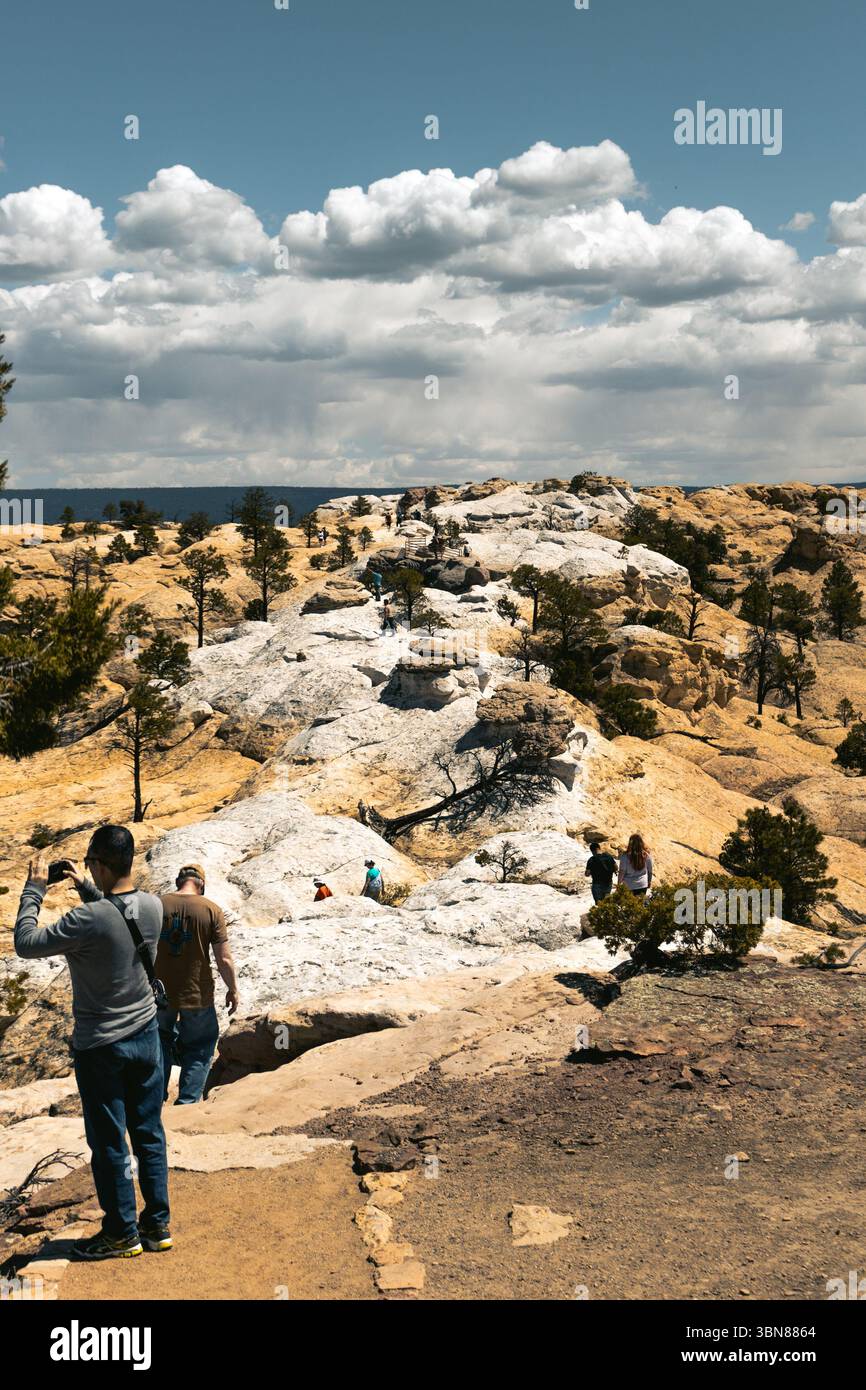 Mitglieder der NCB 22 trafen sich in Gallup, New Mexico, um ein Heim für eine ehemalige, behinderte Marine von Grund auf vor Ort zu bauen. Dies geschieht über das Programm der Southwest Indian Foundation und das innovative Readiness Training Program von April bis Juli 2025. Stockfoto