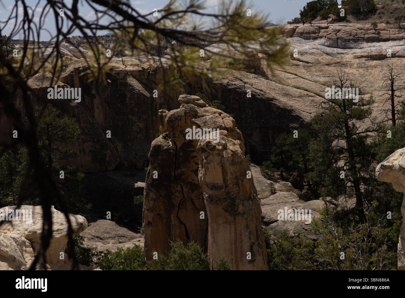 Mitglieder der NCB 22 trafen sich in Gallup, New Mexico, um ein Heim für eine ehemalige, behinderte Marine von Grund auf vor Ort zu bauen. Dies geschieht über das Programm der Southwest Indian Foundation und das innovative Readiness Training Program von April bis Juli 2025. Stockfoto