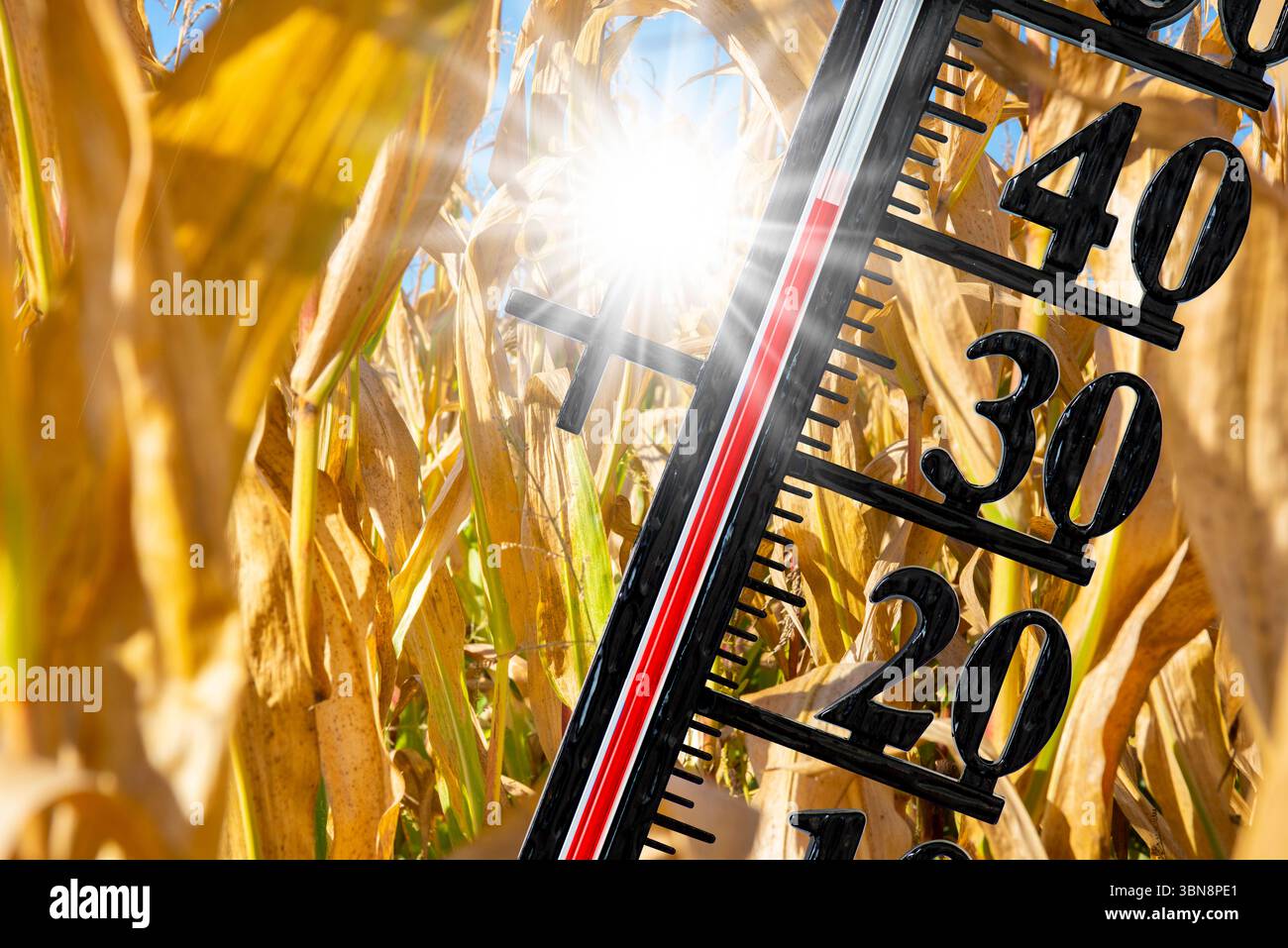 Thermometer zeigt große Hitze ein Thermometer zeigt auf seiner Skala große Hitze bis 40 Grad und Wassernot - FOTOMONTAGE *** Thermometer zeigt hohe HE Stockfoto