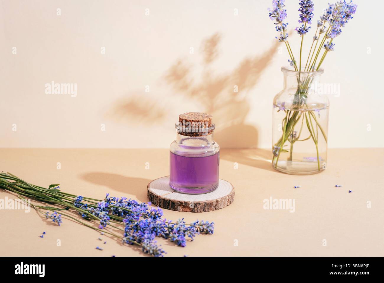 Glasflasche mit ätherischem Lavendelöl und frischen Lavendelblüten auf beigefarbenem Tisch mit Schatten. Aromatherapiekonzept. Stockfoto