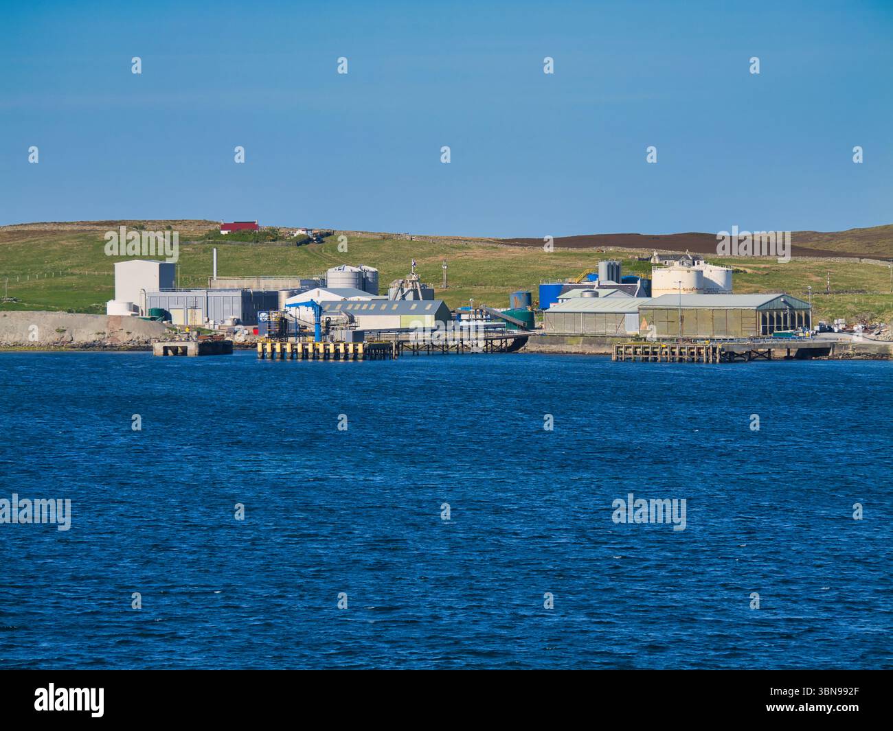 Shetland, Vereinigtes Königreich - 14. Juni 2025: Pelagia-Fischfabriken gegen sanfte grüne Hügel und blaues Wasser auf der Insel Bressay, Shetland, Vereinigtes Königreich. Stockfoto