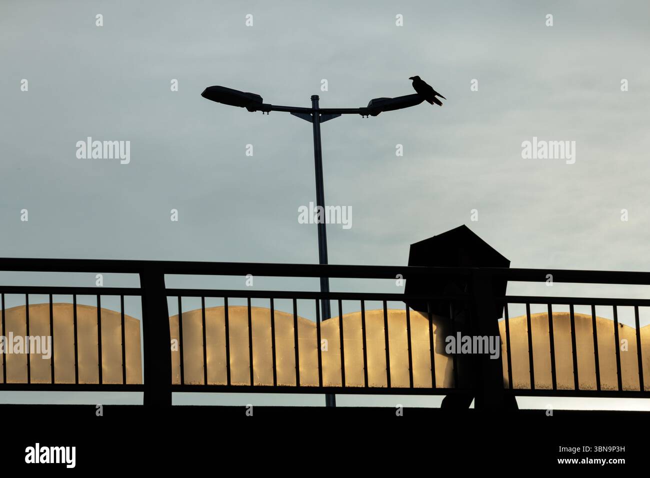 Die Krähe sitzt auf der Straßenlaterne über der Fußgängerbrücke mit halbdurchsichtigen getäfelten Geländern und beobachtet lässig Passanten, die einen Sonnenschirm zum Abkühlen halten. Stockfoto