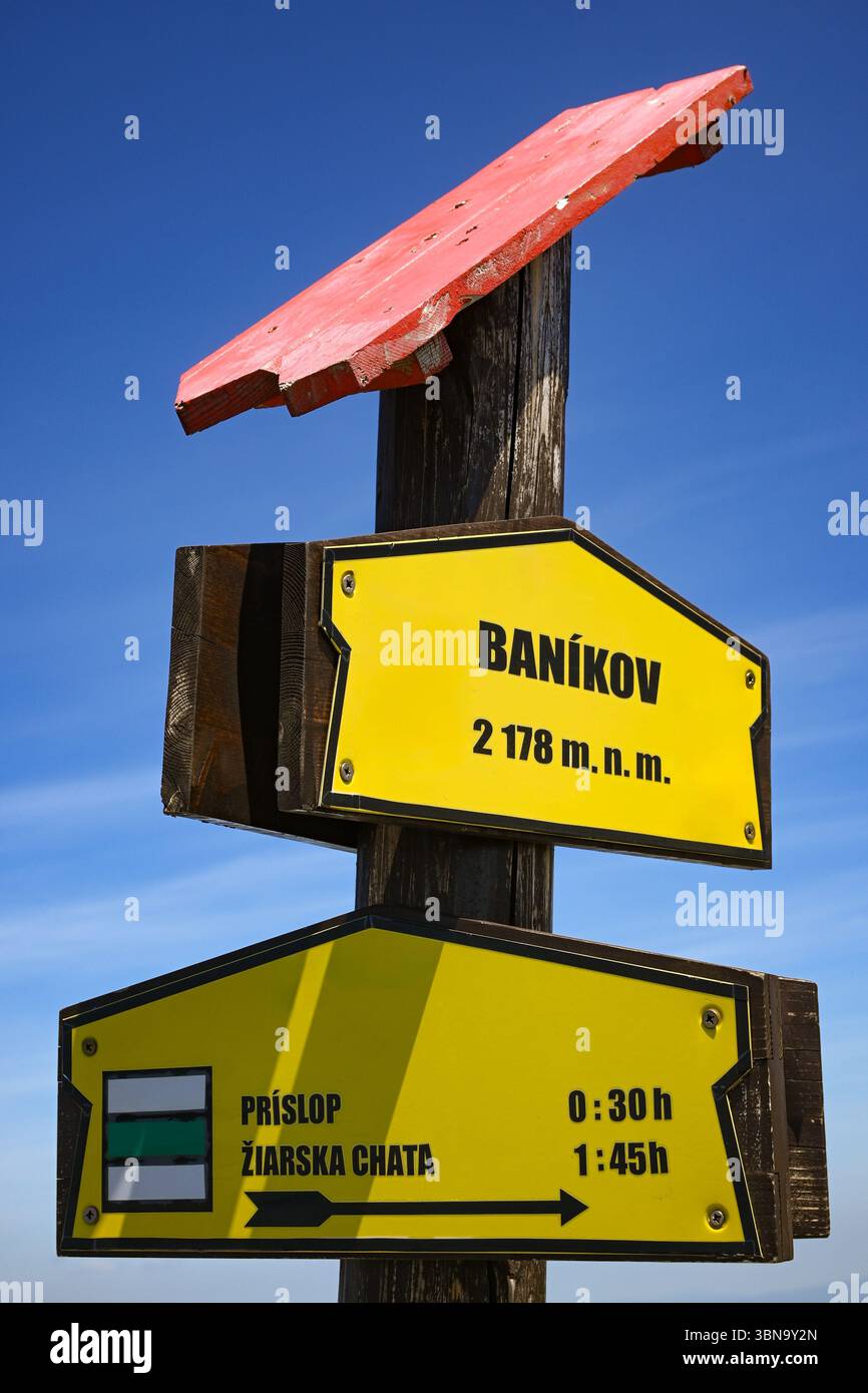 Gelbe Schilder für Wanderwege, die Höhe, Richtung und geschätzte Zeit bis zum Ziel anzeigen, die an einem verwitterten Holzpfosten mit einer roten Spitze angebracht sind. Stockfoto