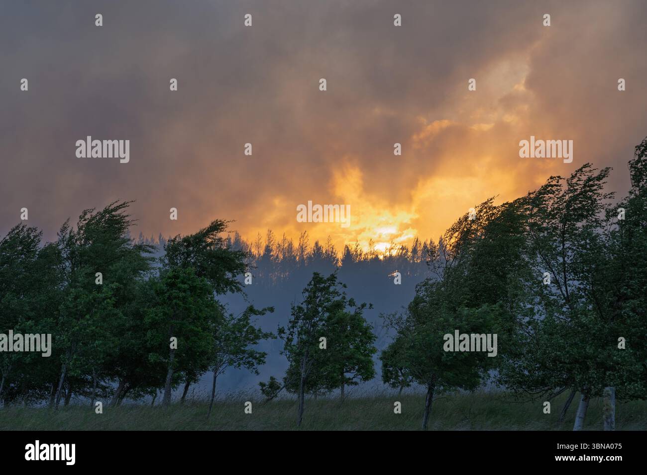 28. Juni 2025. Carrbridge und Grantown in Spey, Schottland. Dies ist ein sehr großes, vom Wind angetriebenes Waldfeuer auf den Hügeln zwischen Carrbridge und Grantown und S Stockfoto