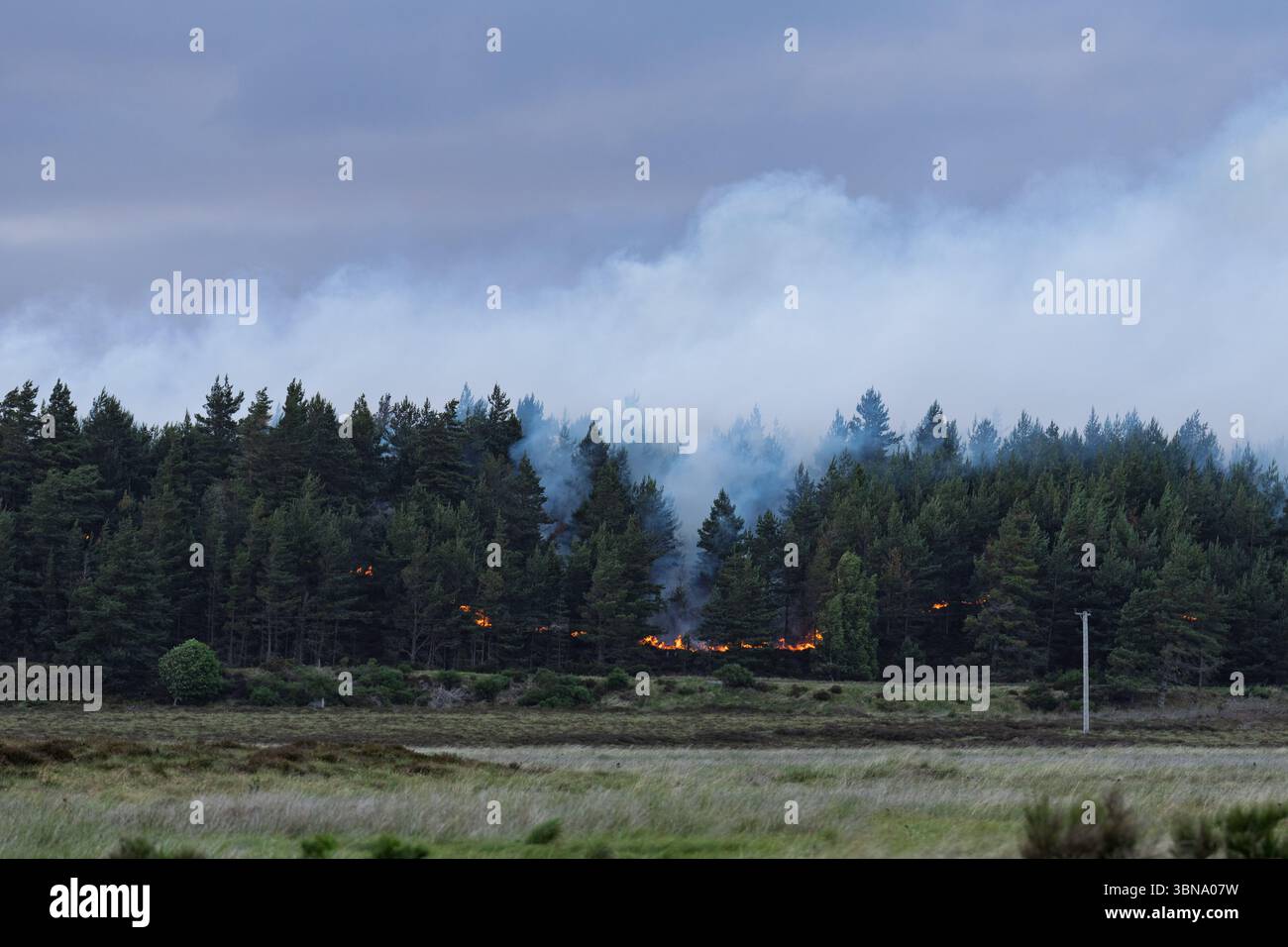 28. Juni 2025. Carrbridge und Grantown in Spey, Schottland. Dies ist ein sehr großes, vom Wind angetriebenes Waldfeuer auf den Hügeln zwischen Carrbridge und Grantown und S Stockfoto