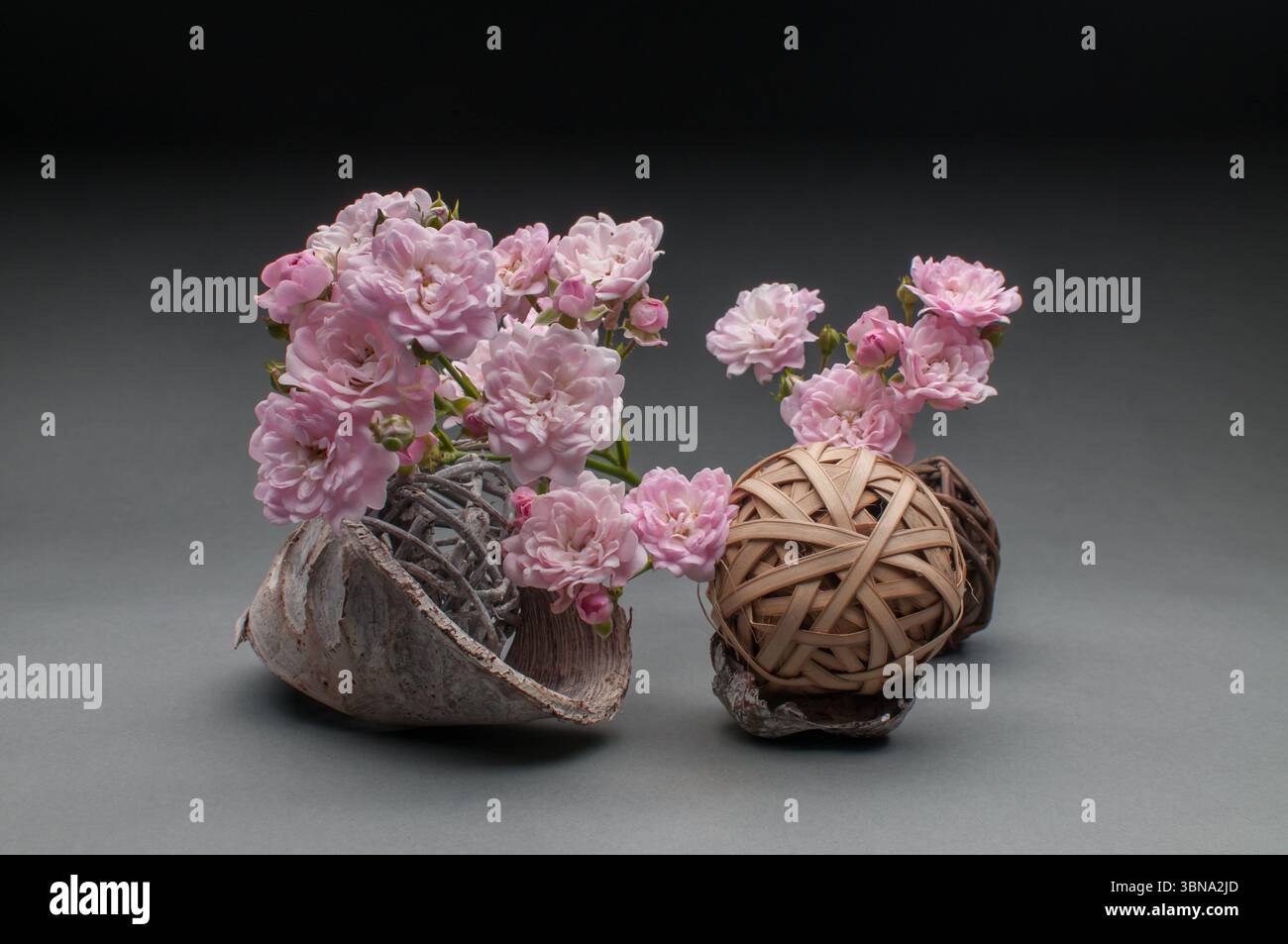 Hellrosafarbene Rosen und dekorative Korb- und Rindenobjekte auf grau-schwarzem Hintergrund, spektakuläre Stillleben-Fotografie, einfaches Motiv, Auge- Stockfoto