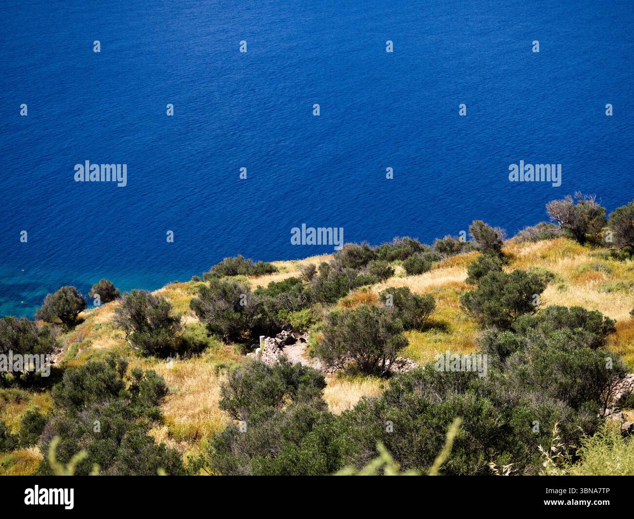 Mittelmeerküste mit Olivenbäumen und Trockenrasen über tiefblauem Meer unter klarem Sommerhimmel. Stockfoto
