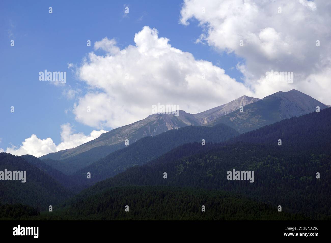 Eine majestätische Bergkette unter einem klaren blauen Himmel mit flauschigen weißen Wolken. Die Berge mit ihren zerklüfteten Gipfeln und Tälern sind von einer dichten Schicht dunkelgrüner Bäume bedeckt. Die Berge scheinen eine Mischung aus Felsen und Vegetation zu sein, wobei einige Gebiete Anzeichen von Erosion oder Witterung zeigen. Die Perspektive des Bildes ist aus einem niedrigen Winkel, der auf die hoch aufragenden Berge blickt, was ein Gefühl von Ehrfurcht und Pracht erzeugt. Der Himmel ist ein leuchtendes Blau, das einen wunderschönen Kontrast zum Dunkelgrün der Berge und dem weiß der Wolken bildet. Ein Künstlerauge und eine fantasievolle Unterschrift. Bansko i Stockfoto