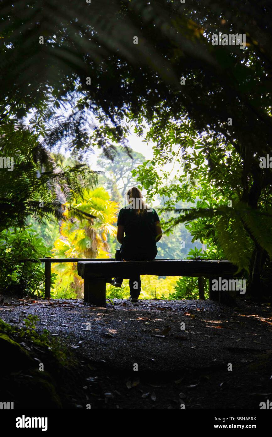 Eine Frau sitzt auf einer Bank in einem üppigen, grünen Park, genießt die friedliche Landschaft und nimmt sich einen Moment Zeit zum Entspannen und Nachdenken in Trebah Gardens, Cornwall, Großbritannien Stockfoto