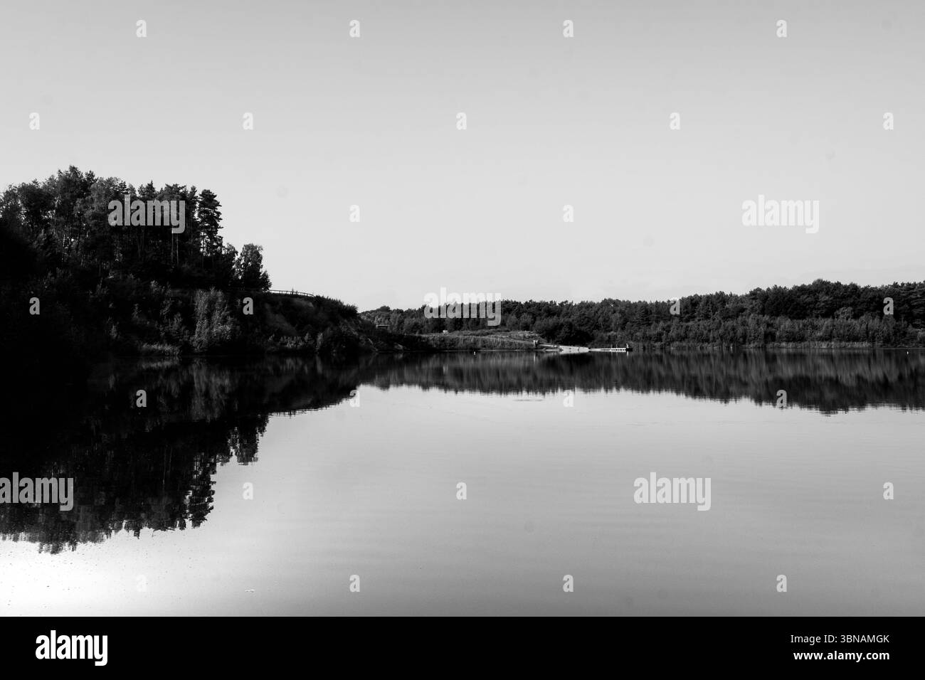 Weitläufige schwarz-weiße Landschaft mit einem stillen See, der dichte Waldbäume unter klarem Himmel perfekt spiegelt und Ruhe und Natur verkörpert Stockfoto