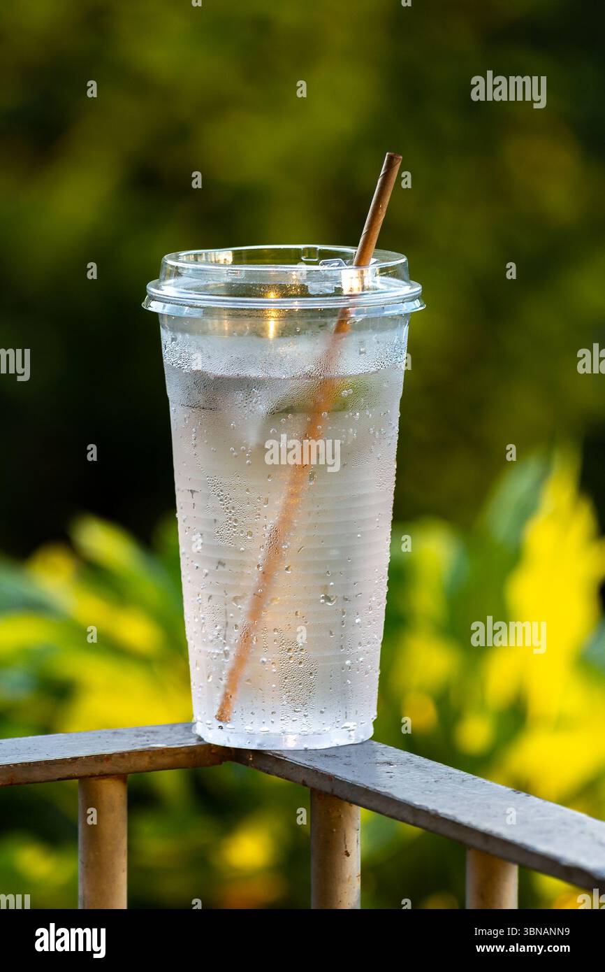 Eiswasser Inmitten Von Grün Stockfoto