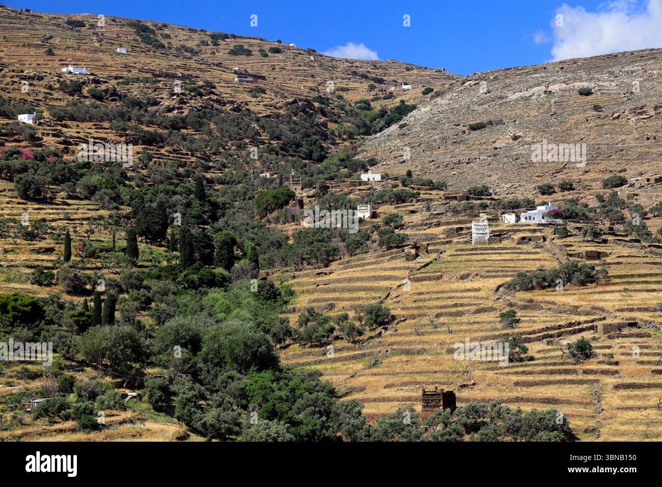 Landschaft mit traditionellen Dovecotes, südlichen Tinos, Tinos, Kykladen, Griechenland. Stockfoto