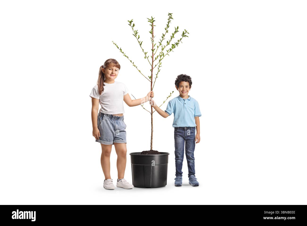 Porträt eines Mädchens und Jungen, der einen Baum auf weißem Hintergrund hält Stockfoto