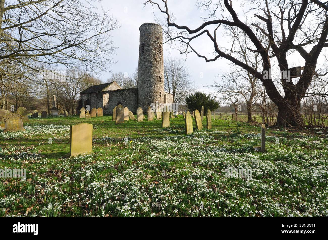 St. Theobold Kirche Hautbois Norfolk England Großbritannien Stockfoto