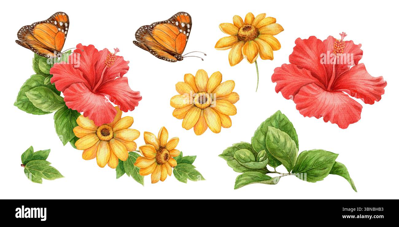 Set mit gelben Sonnenblumen und Monarchschmetterling in realistischem Aquarellstil. Roter Hibiskus und grüne botanische Elemente bilden lebendige tropische Elemente Stockfoto