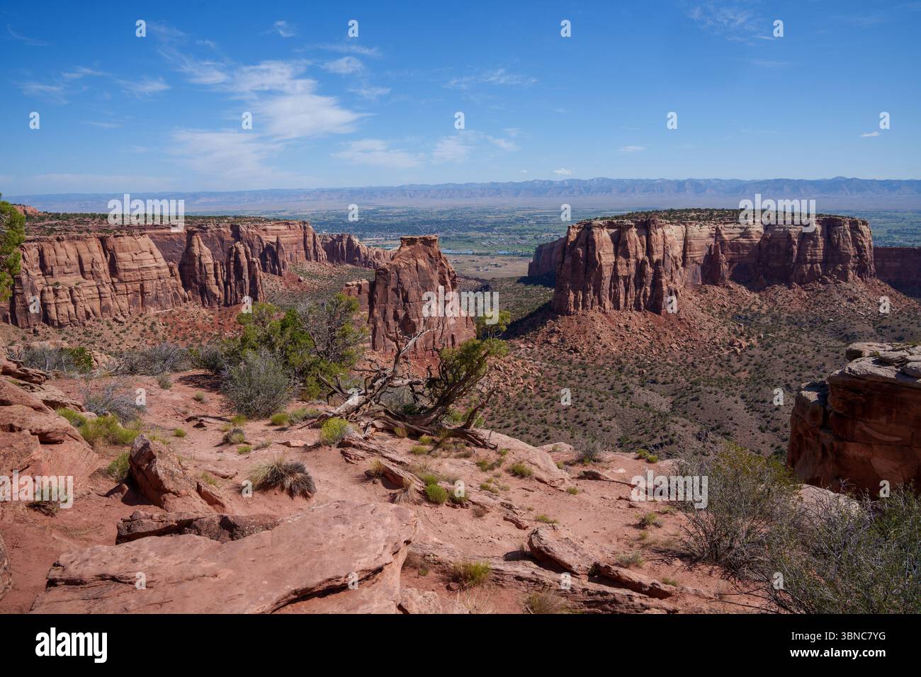 Canyon Landschaft am Colorado National Monument in der Nähe von Grand Junction, wunderschöne rote Felsen Stockfoto