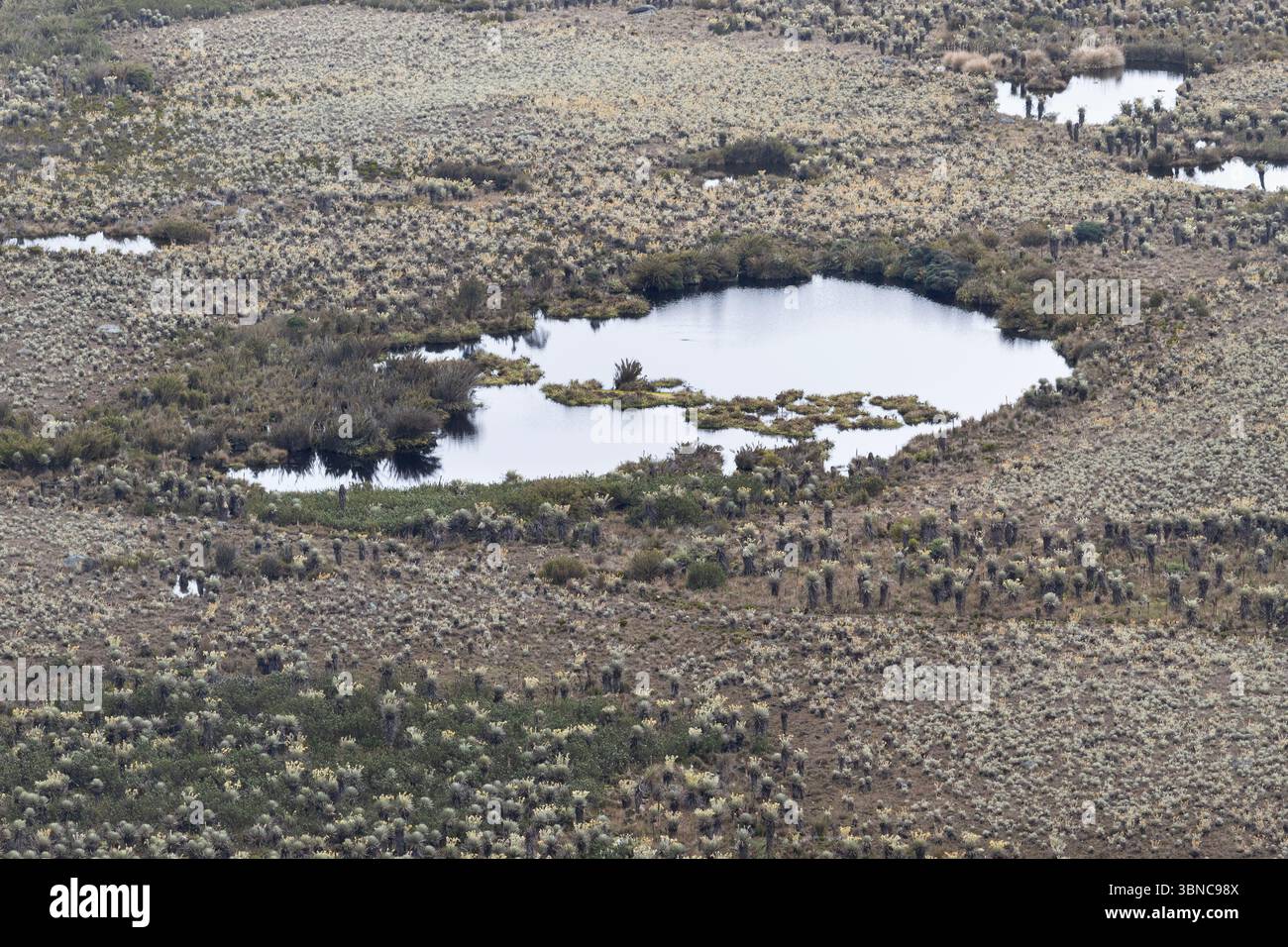 Wunderschöne Luftaufnahme eines kleinen Sees inmitten des Paramo-Ökosystems Stockfoto