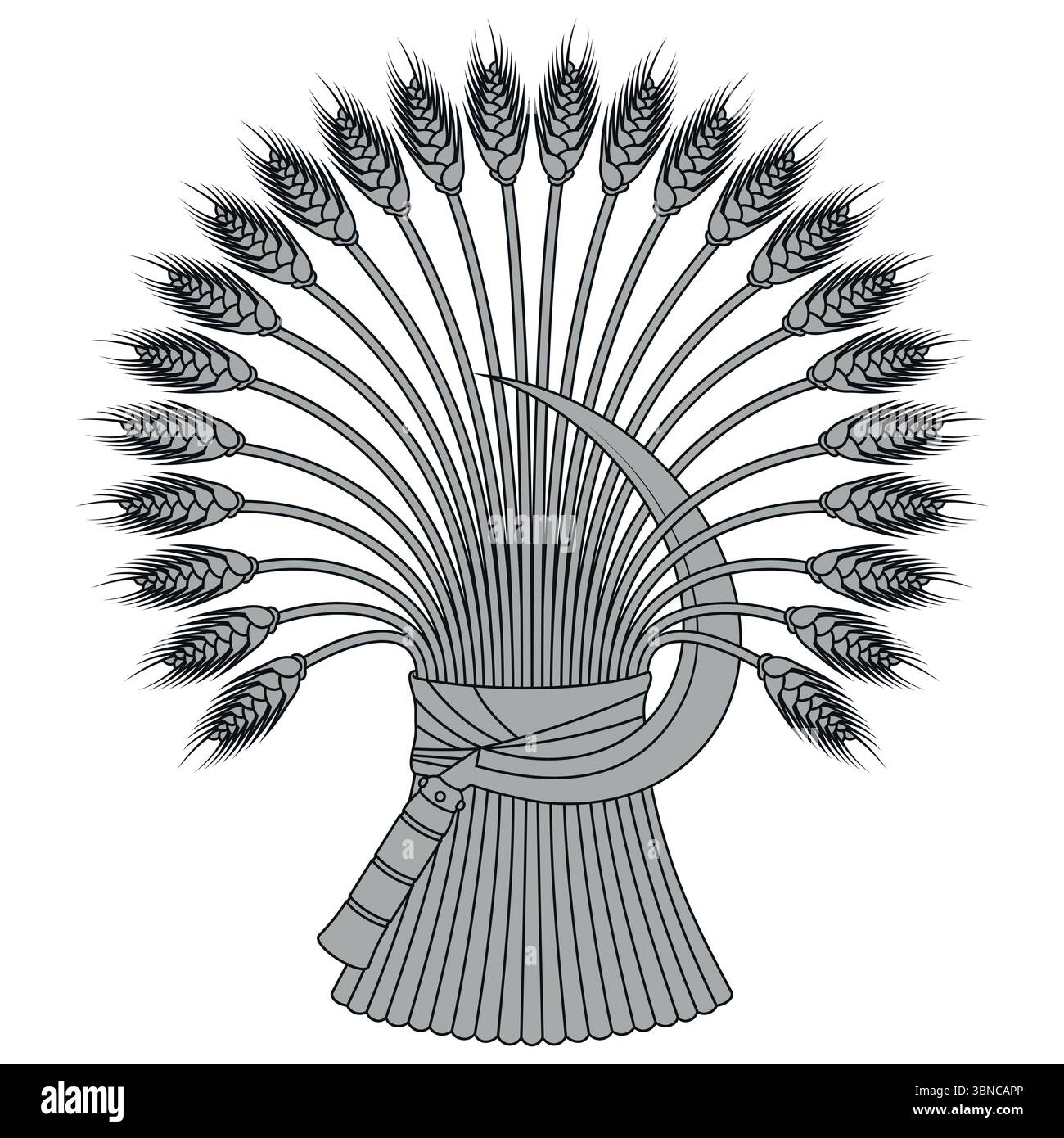 Weizenohren mit Sichel, Bio-Getreide, Erntewerkzeug mit Weizengarbe Stock Vektor