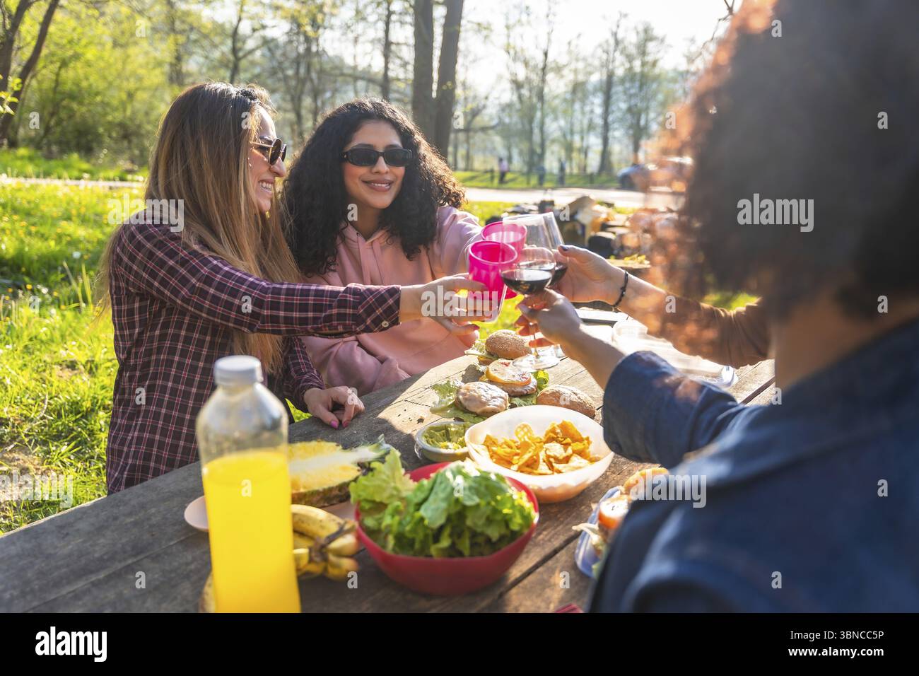 Glückliche Frauen, die ein sonniges Picknick im Park genießen, mit Getränken rösten, gesundes Essen genießen und fröhliche Momente miteinander teilen Stockfoto