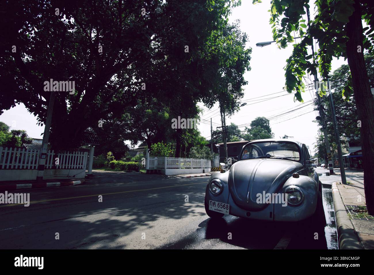 Klassischer VW-Käfer parkt auf einer blattschattigen Chiang Mai Straße Stockfoto