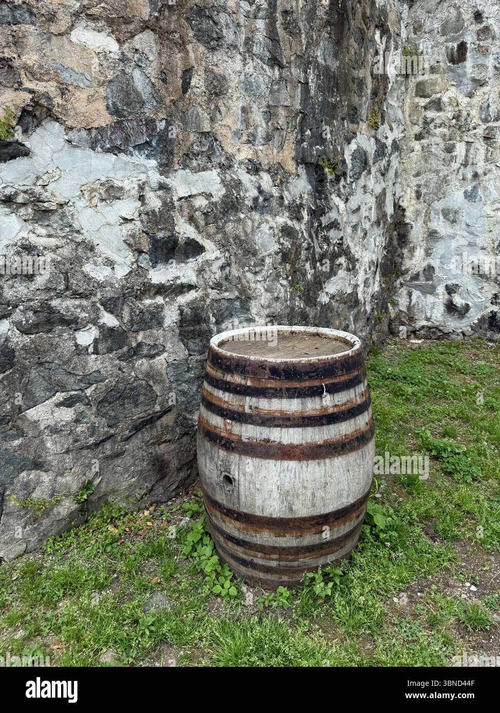 Das Bild zeigt ein veraltetes Holzfass mit Metallbändern, das aufrecht auf Gras in der Nähe einer rauen Steinmauer steht. Die Wand weist sichtbare Anzeichen von Erosion auf, und Stockfoto