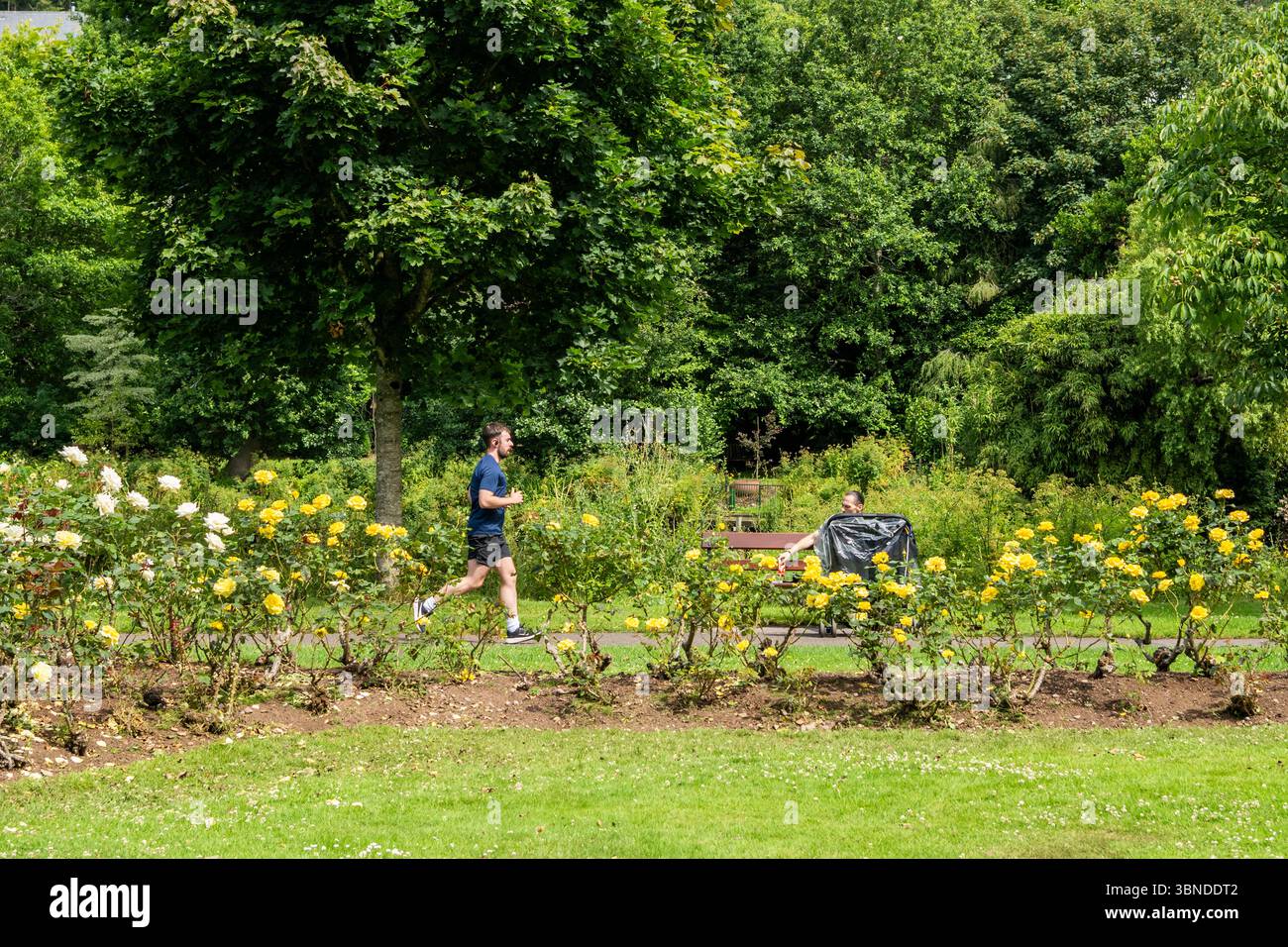 Fitzgerald Park, Cork, Irland. Juli 2025. Nach Tagen des Regens, strahlte heute endlich die Sonne in Cork. Der Fitzgerald Park in Cork City war mit Menschen beschäftigt, die das Beste aus der Sonne machten. Quelle: AG News/Alamy Live News Stockfoto