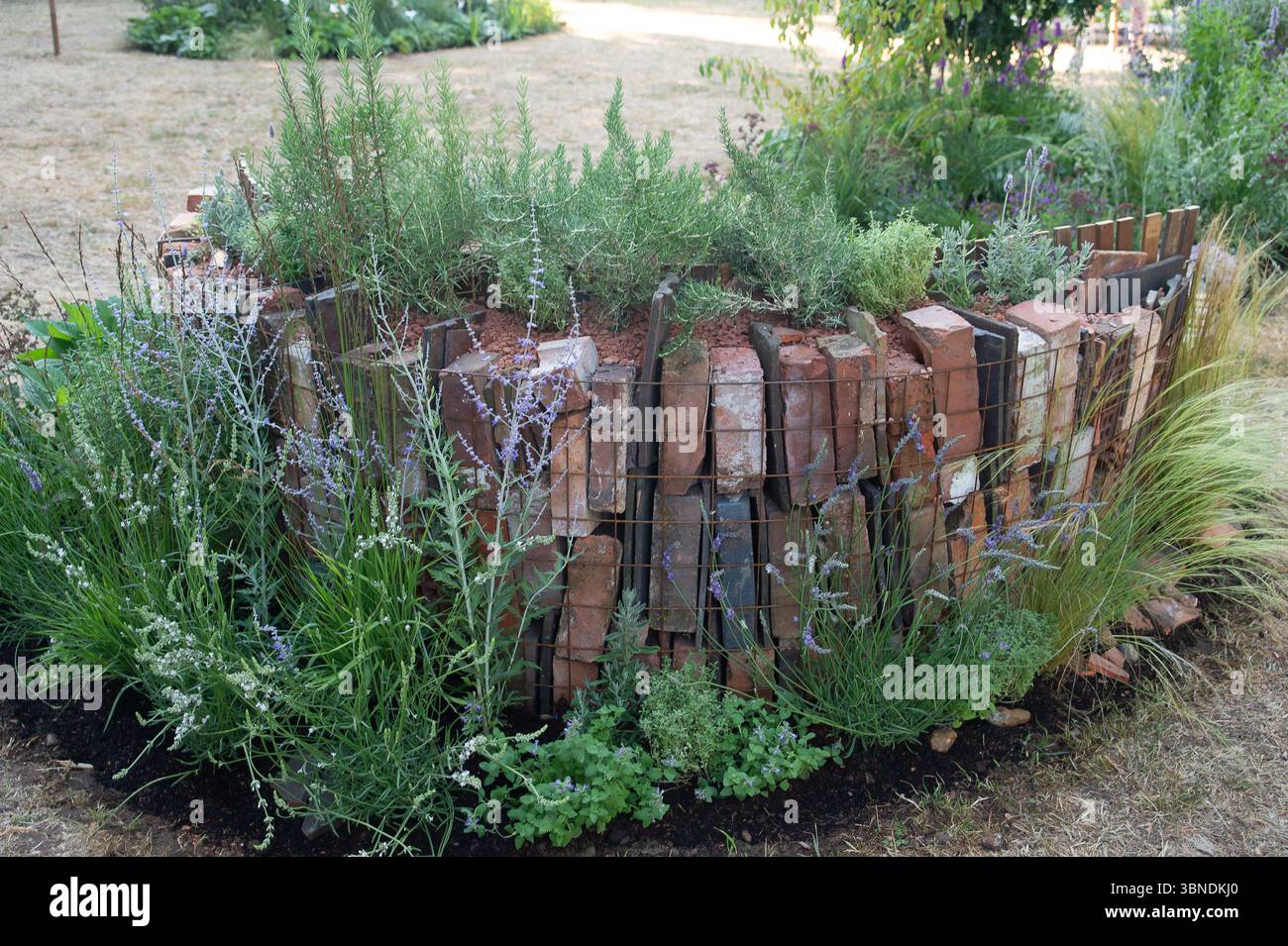East Molesey, Surrey, Großbritannien. 30. Juni 2025. Geschichten erzählen, Erinnerungen machen von Ella Clarke und Sally Holder, einer der „für die Liebe der Lamiaceae“ – die aromatische Pflanzenfamilie grenzt beim RHS Hampton Court Palace Garden Festival 2025. Von den fünf Sinnen ist der Geruchssinn der einzige voll entwickelte, bevor wir geboren werden. Unsere frühesten Erinnerungen sind in Duft und Aromen, die uns zurück in eine vergangene Zeit versetzen können. Im Gehirn werden Duftmoleküle von der olfaktorischen Bulbe erfasst, die direkt mit dem limbischen System verbunden ist, einschließlich der Amygdala und dem Hippocampus, die Zentren der Emotionen A sind Stockfoto