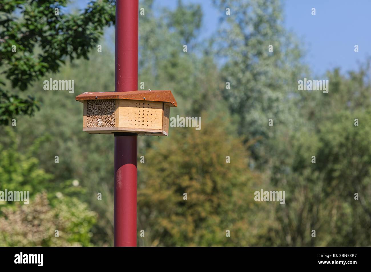 Ein Holzinsektenhotel oder Bienenhaus an einem roten Laternenpfahl, eingebettet in eine üppige natürliche Umgebung im Freien, die die lokale Artenvielfalt fördert. Stockfoto