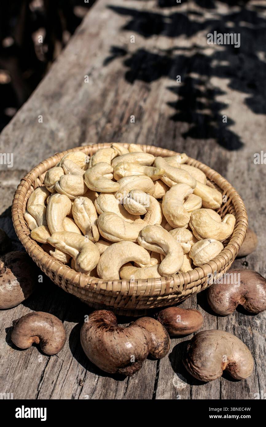 Geschälte und ungeschälte Bio-Cashewnüsse auf der kambodschanischen Farm Stockfoto
