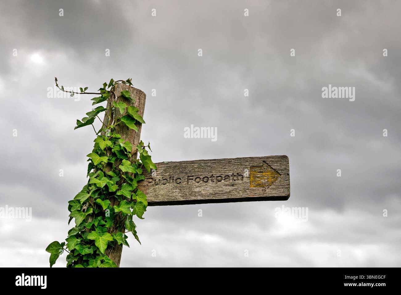 Hölzernes Schild für öffentliche Wanderwege mit Efeu, das auf dem Schild wächst Stockfoto