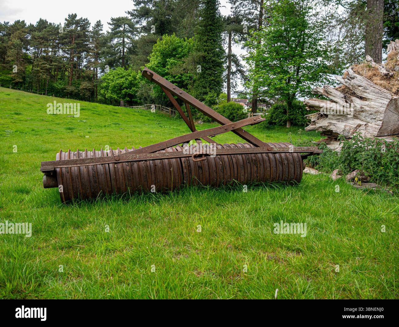 Stillgelegte Felderntewalze, die von einem umgedrehten Baum auf einem Feld verlassen wurde. Stockfoto