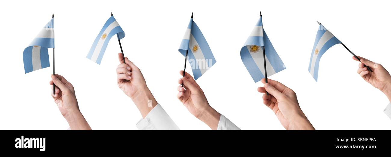 Die argentinische Flagge in der Hand in verschiedenen Winkeln auf weißem Hintergrund Stockfoto