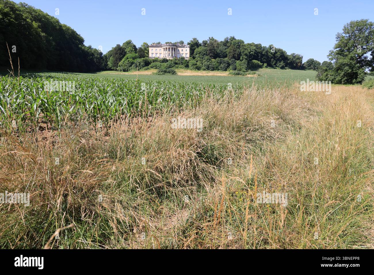 Rastignac Castle im Département Dordogne im Südwesten Frankreichs ist ein architektonischer Cousin des Weißen Hauses. Das Schloss im palladianischen Stil ist einzigartig Stockfoto