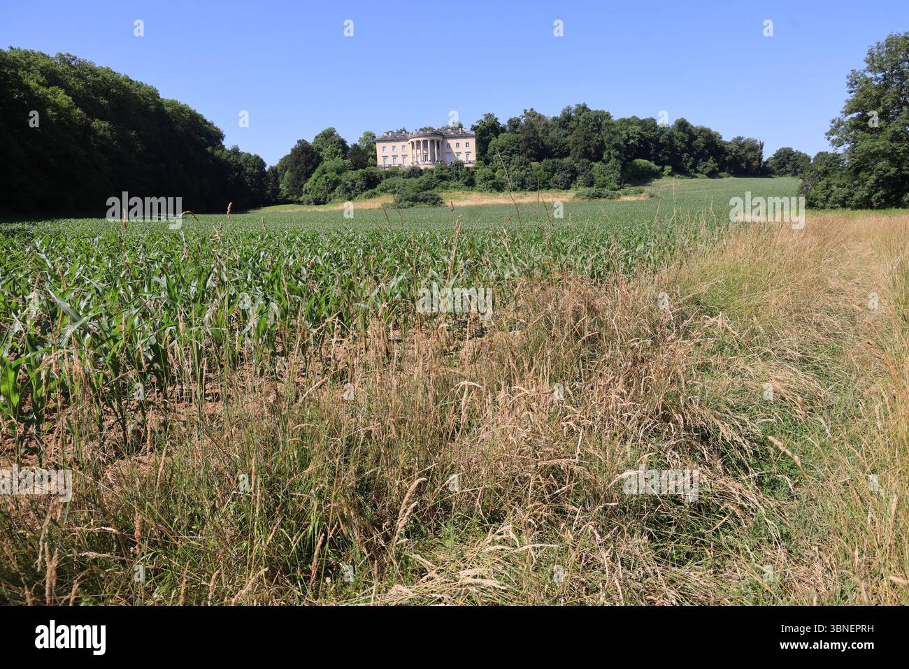 Rastignac Castle im Département Dordogne im Südwesten Frankreichs ist ein architektonischer Cousin des Weißen Hauses. Das Schloss im palladianischen Stil ist einzigartig Stockfoto