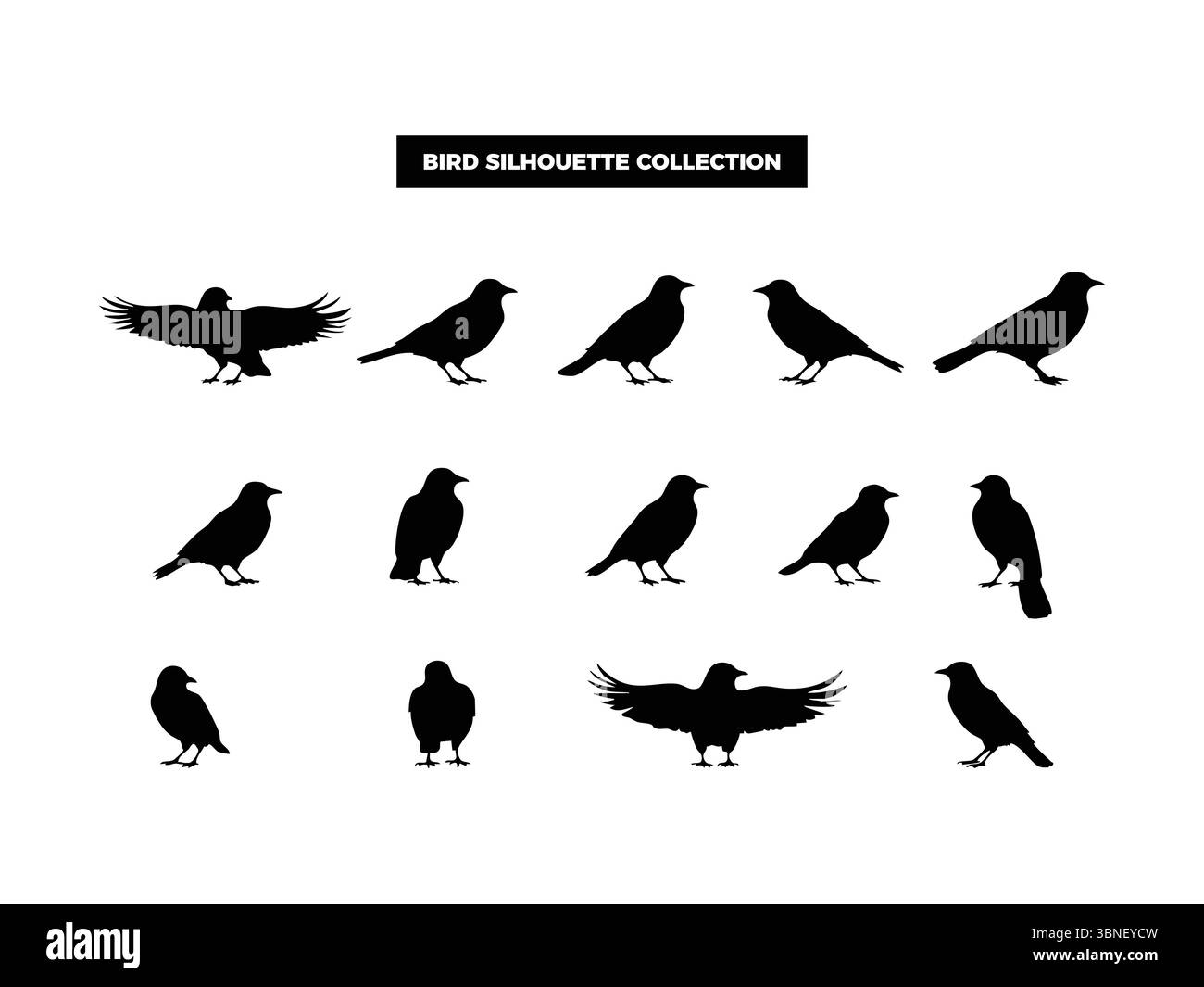Hochwertige Vektor-Vogel-Silhouetten in verschiedenen Posen, fliegen, ruhen und hocken. Ideal für Logos, T-Shirts, Poster und Design-Projekte mit Naturmotiven Stock Vektor