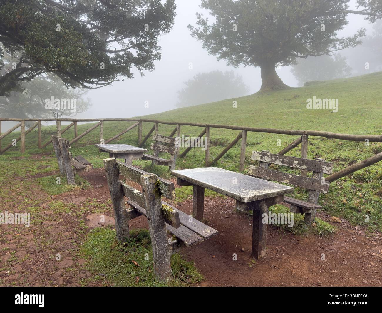 Ein Ort zum Entspannen im nebeligen Fanal-Wald auf Madeira. Moody, traumhafte Landschaft mit sanftem Licht und geheimnisvoller Atmosphäre. Surreales Wandern - Smartphone-aufgenommenes Stockfoto