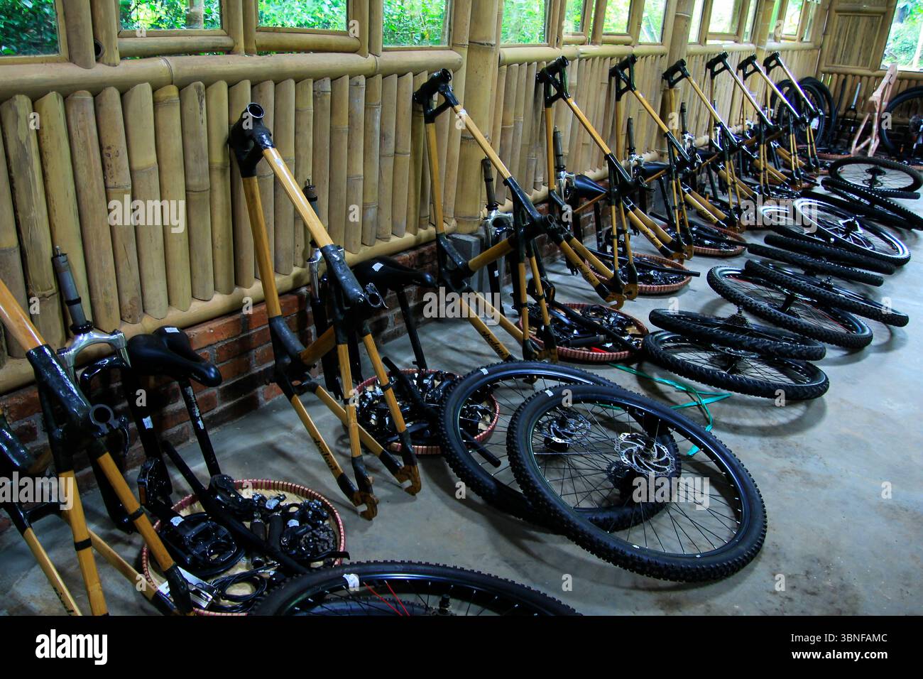Bambus fahrrad -Fotos und -Bildmaterial in hoher Auflsung  Alamy