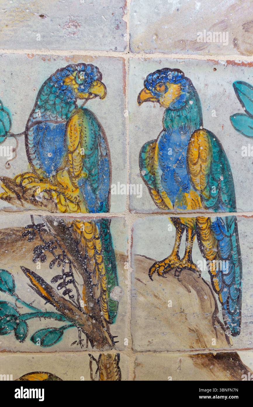 Ein lebhaftes Fresko mit zwei bunten Papageien auf Ästen in der Kirche von Gesù (Chiesa del Gesù) in Palermo, Sizilien. Die Artwo Stockfoto