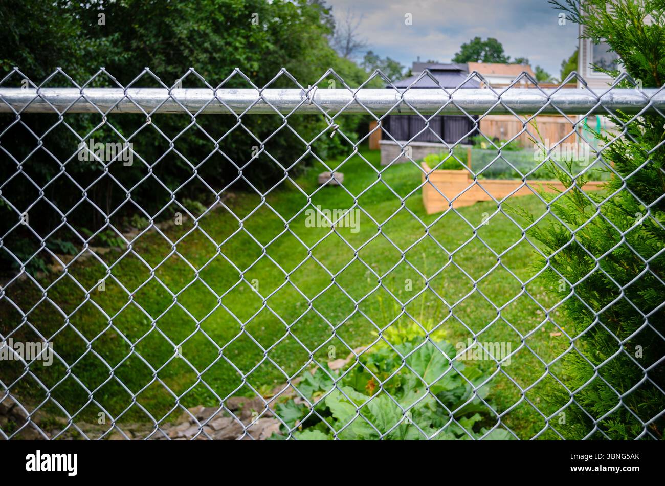 Vorort-Hinterhof-Terrassen, Pavillon und Garten hinter einem Maschendrahtzaun an einem sonnigen Morgen Stockfoto